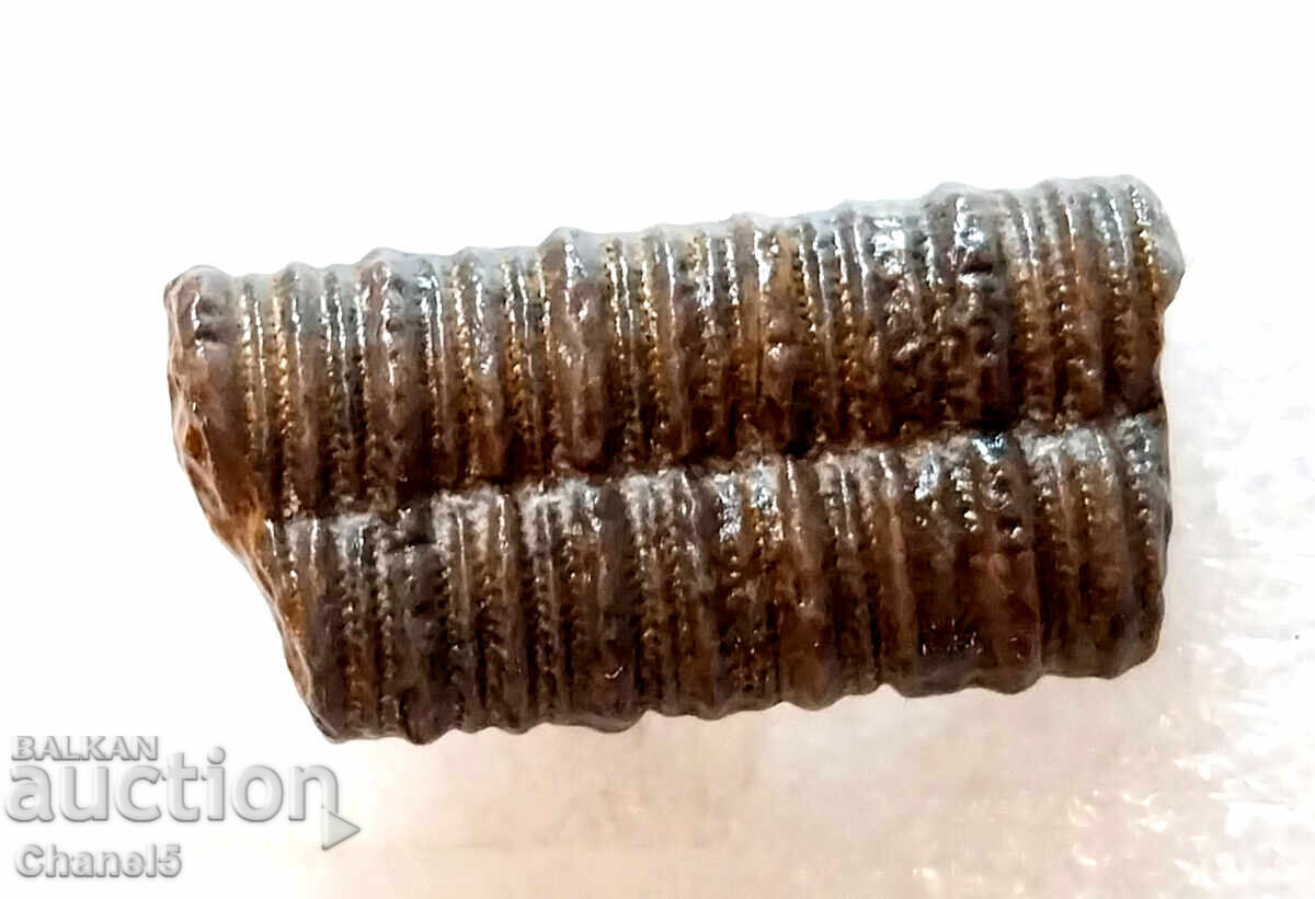 FOSSIL - PETRIFIED CRINOID 400 million years old (747) with price 12.90 BGN | € 6.60 FOSSIL - PETRIFIED CRINOID 400 million years old (747) with price 12.90 BGN | € 6.60