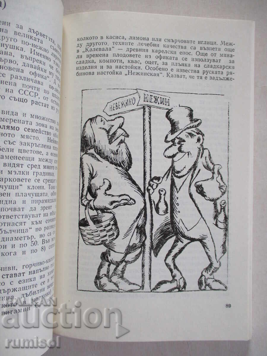 Livrarea Misterul cinchoniei - S. Ivcenko