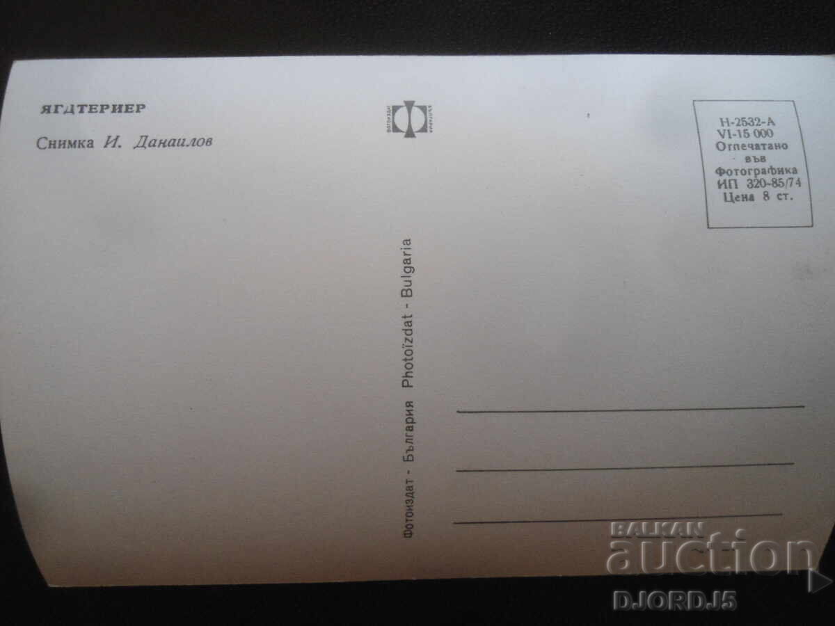 JAGD TERRIER, Old postcard with price 1.00 BGN | € 0.51 JAGD TERRIER, Old postcard with price 1.00 BGN | € 0.51