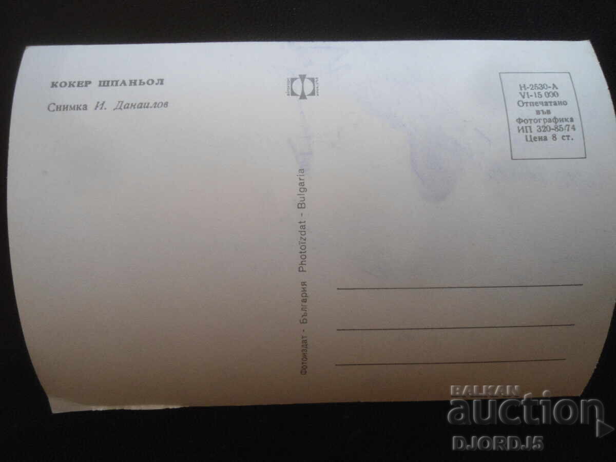 COKER SPANIEL, Old postcard with price 1.00 BGN | € 0.51 COKER SPANIEL, Old postcard with price 1.00 BGN | € 0.51