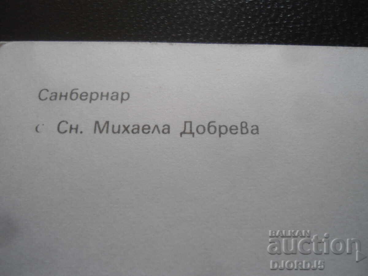 Licitație Sf. Bernard, carte poștală veche