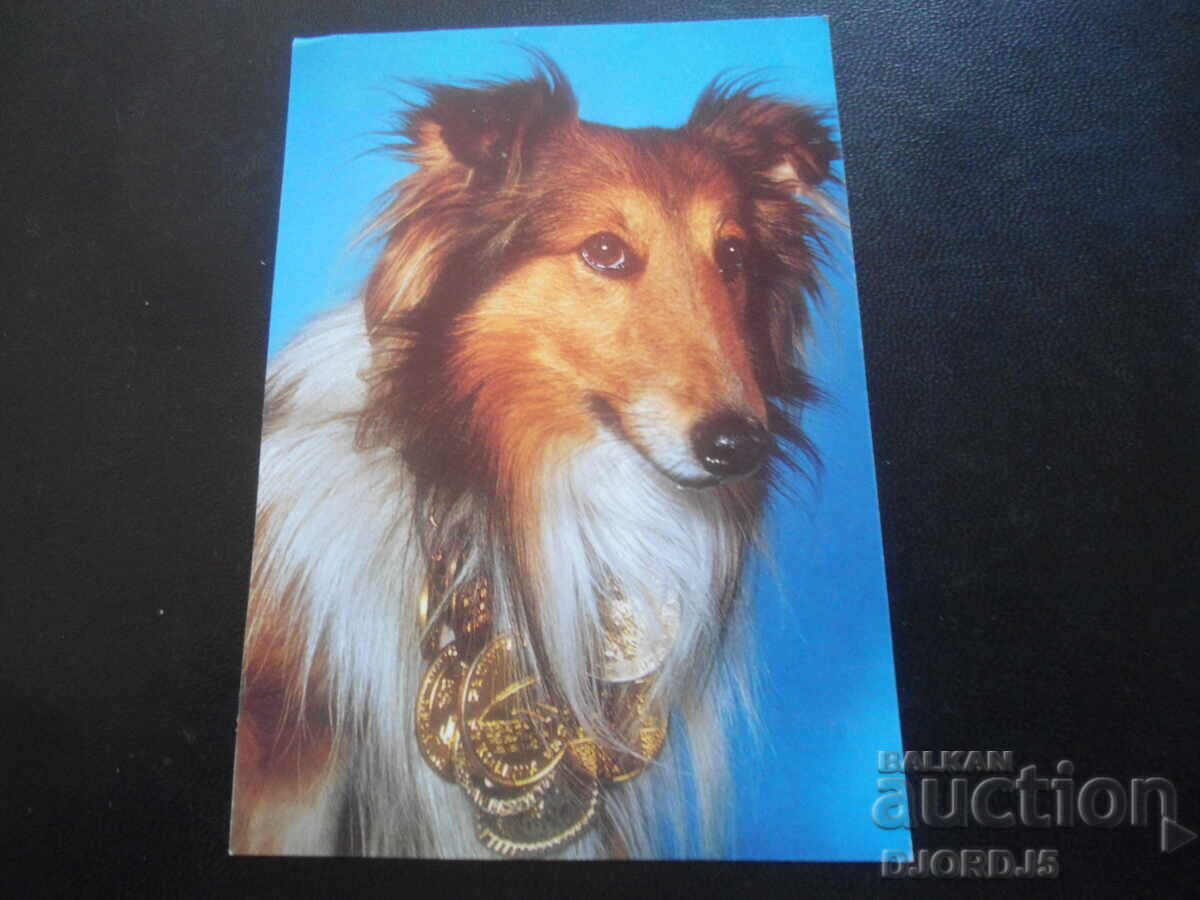 Mini mașini, carte poștală veche