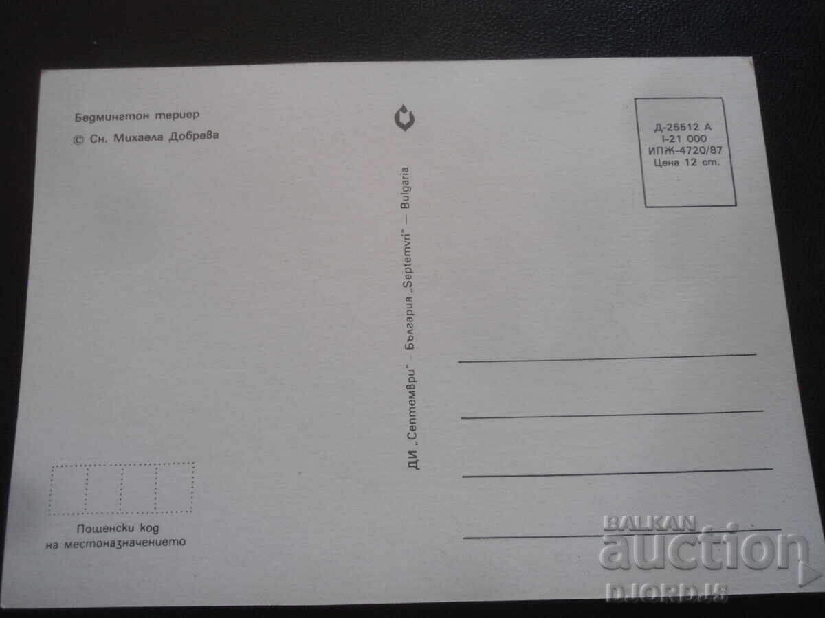 Бедмингтон териер, Стара картичка с цена 1.00 лв. | € 0.51 Бедмингтон териер, Стара картичка с цена 1.00 лв. | € 0.51