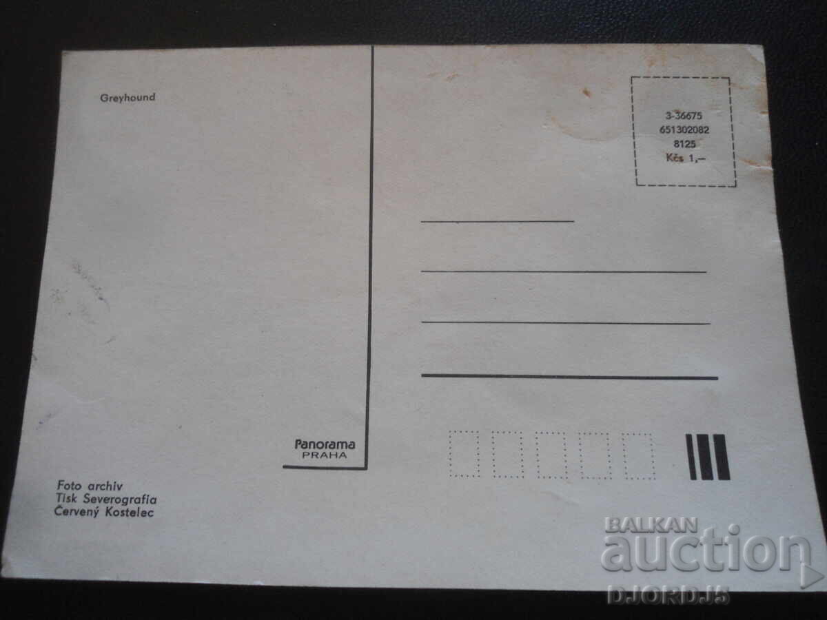 Greyhound, Old postcard with price 1.00 BGN | € 0.51 Greyhound, Old postcard with price 1.00 BGN | € 0.51