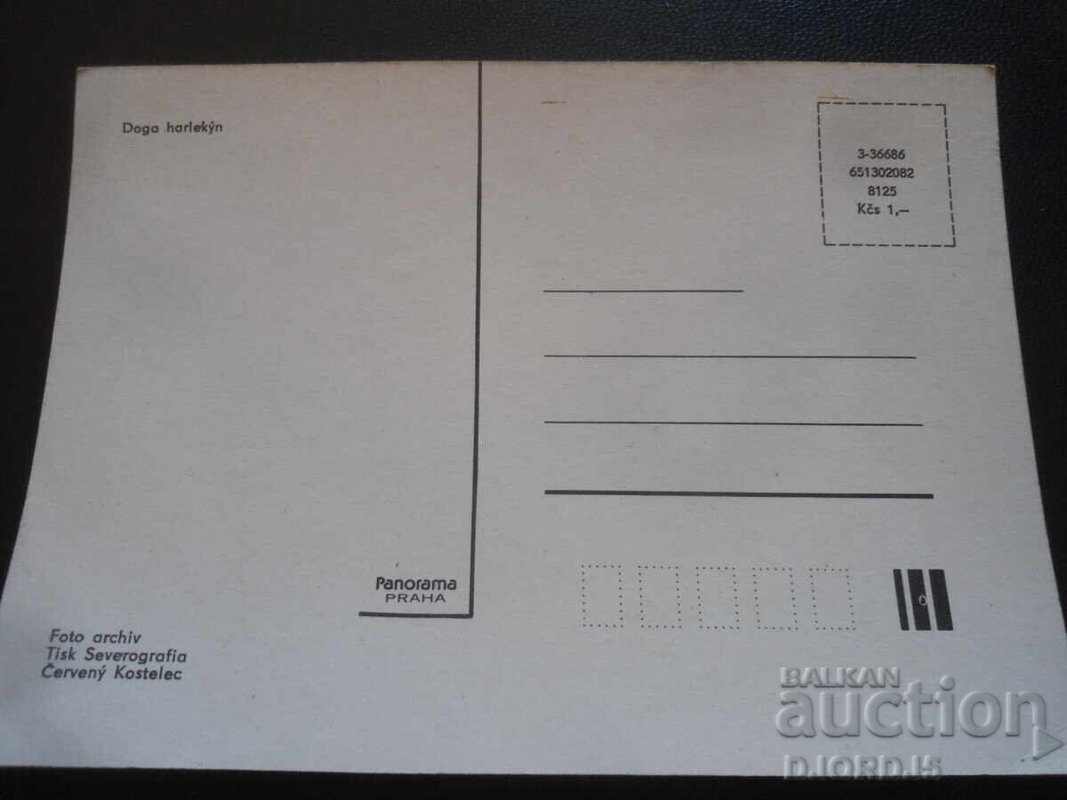 Doga harlekyn, Παλιά καρτ ποστάλ με τιμή 1.00 BGN | € 0.51 Doga harlekyn, Παλιά καρτ ποστάλ με τιμή 1.00 BGN | € 0.51