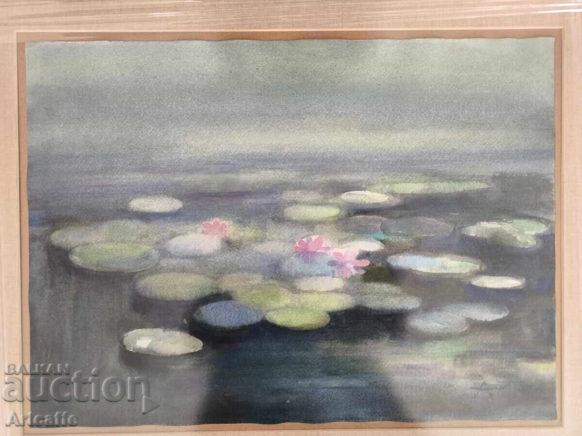 Angel Pachamanov-Water lilies, watercolor, signed, frames with price 300.00 BGN | € 153.39 Angel Pachamanov-Water lilies, watercolor, signed, frames with price 300.00 BGN | € 153.39