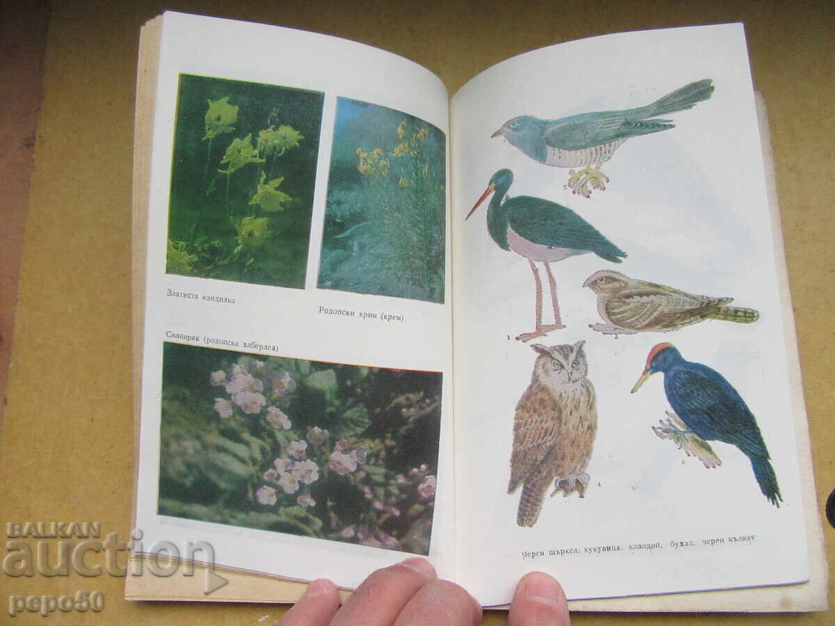 NATURE AND US - G.Gochev and N.Khandzhiev - 1983 - 5