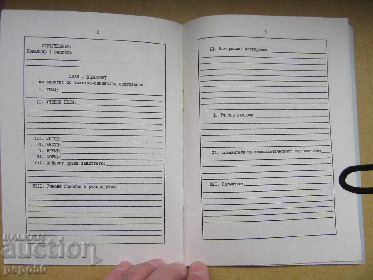 Auction  LESSON PLAN-OUTLINE for TSP from the BNA TIMES /2/