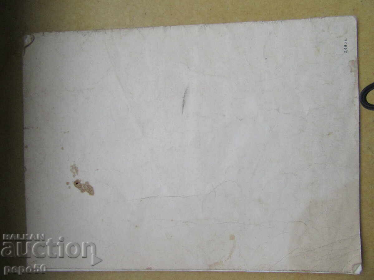 PARROT COCO - 1975 - 6 PARROT COCO - 1975 - 6