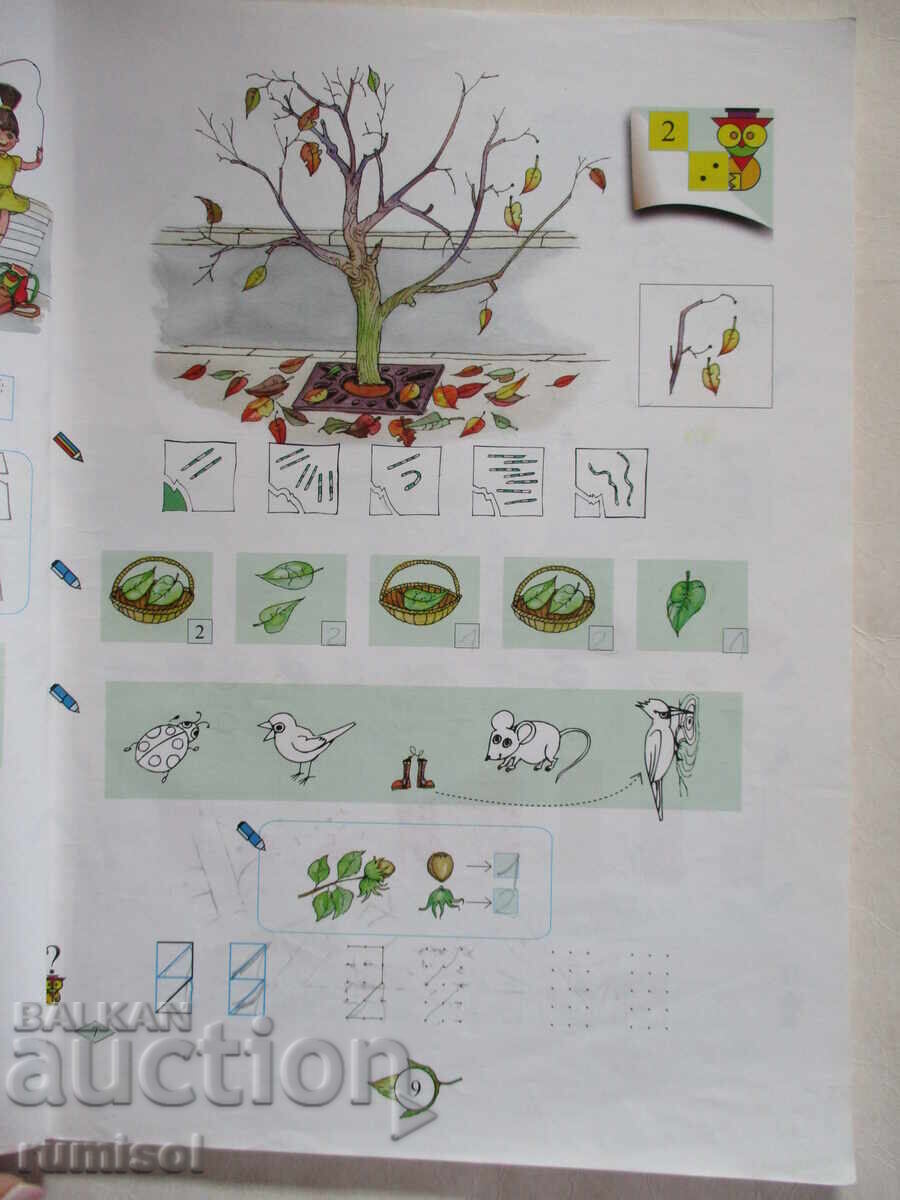 Auction  Mathematics - 1st grade, Angelina Manova, Reni Rangelova