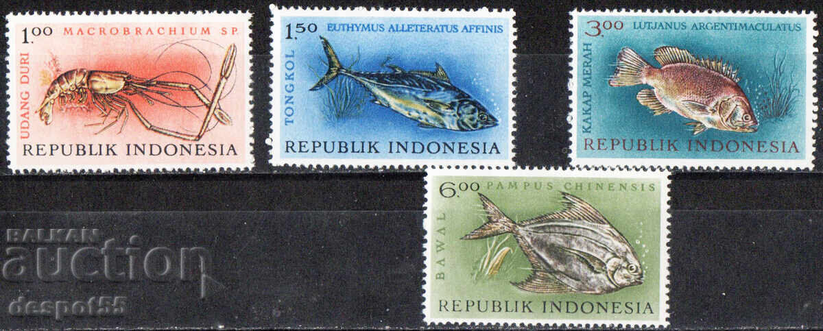 1963. Indonesia. Marine life. 1963. Indonesia. Marine life.