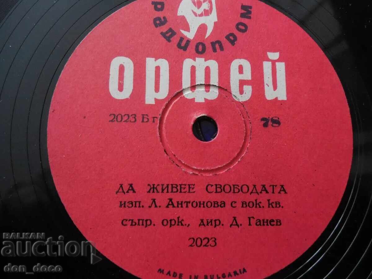 Veche farfurie shellac - Orpheus 2023 - Dimitar Yosifov Veche farfurie shellac - Orpheus 2023 - Dimitar Yosifov