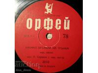 Vechi record de șelac - Orpheus 2010 - Pavel Sirakov