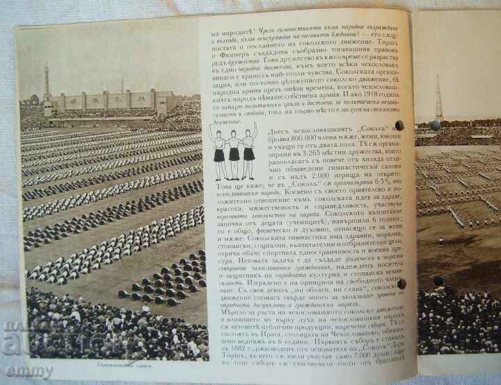 Auction Falconry Festival Prague, Czech Republic, 1938 - Program, guide Auction Falconry Festival Prague, Czech Republic, 1938 - Program, guide