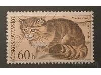 Czechoslovakia Fauna/Cats