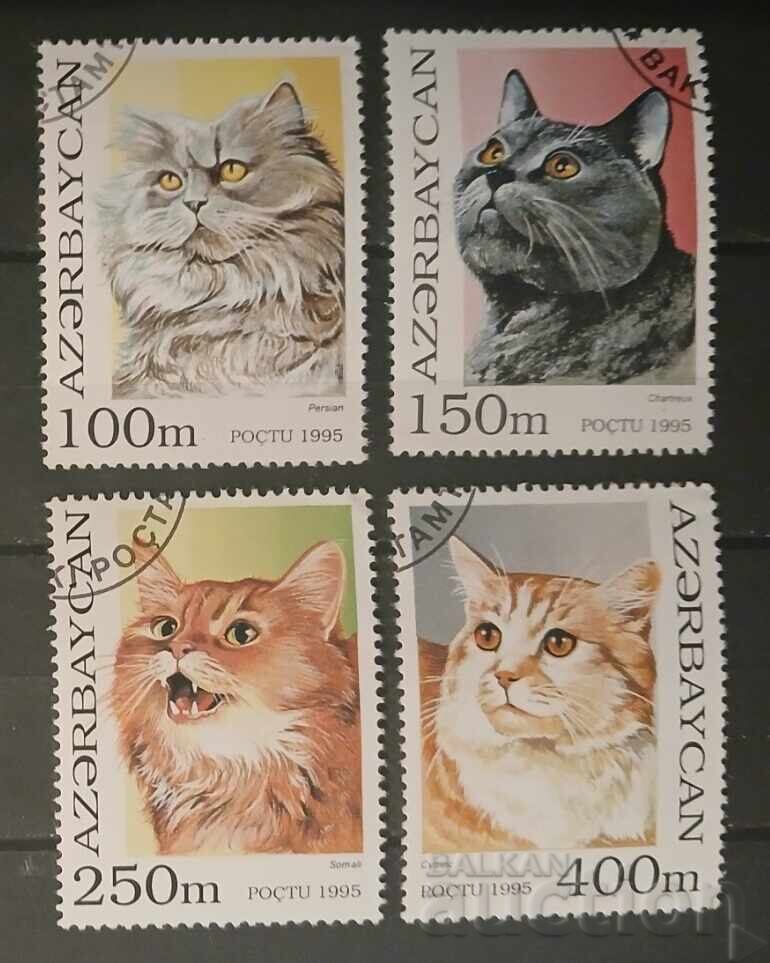 Azerbaidjan Fauna/Pisici Azerbaidjan Fauna/Pisici