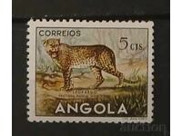 Angola Fauna/Cats