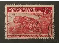 Belgium/Belgian Congo Fauna/Cats