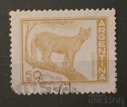 Argentina Fauna/Cats