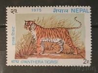 Nepal Fauna/Cats