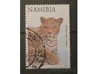 Namibia Fauna/Cats