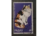 Scotland/Pabay Fauna/Cats