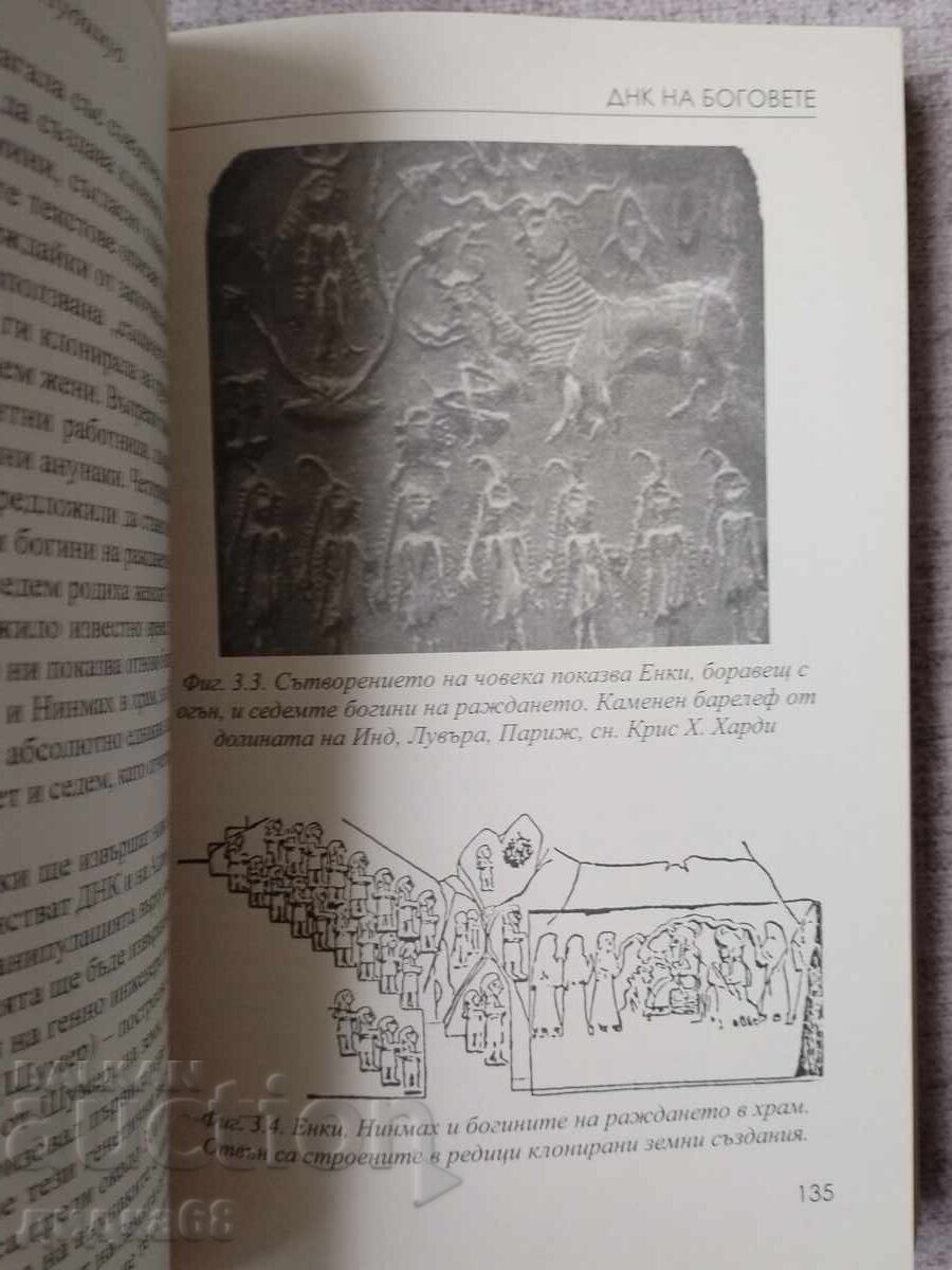 DNA of the Gods / Chris H. Hardy - 7 DNA of the Gods / Chris H. Hardy - 7