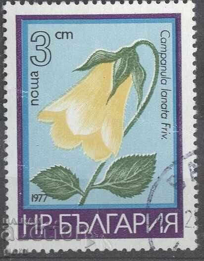 BULGARIA print 362 11 BULGARIA print 362 11