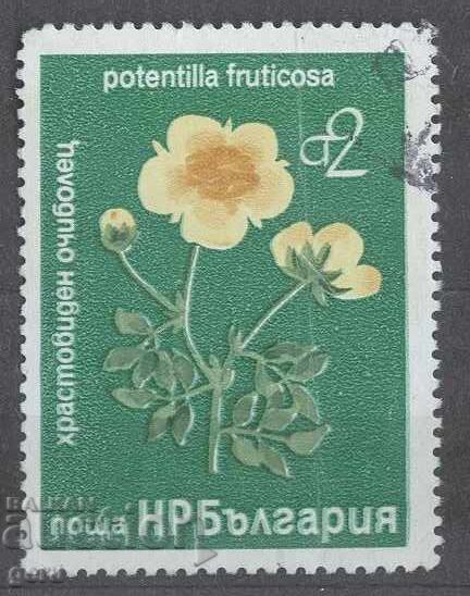 BULGARIA print 362 11 BULGARIA print 362 11