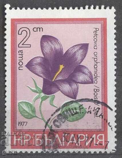 ΒΟΥΛΓΑΡΙΑ εκτύπωση 362 11 ΒΟΥΛΓΑΡΙΑ εκτύπωση 362 11