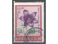 БЪЛГАРИЯ  печат           362 11