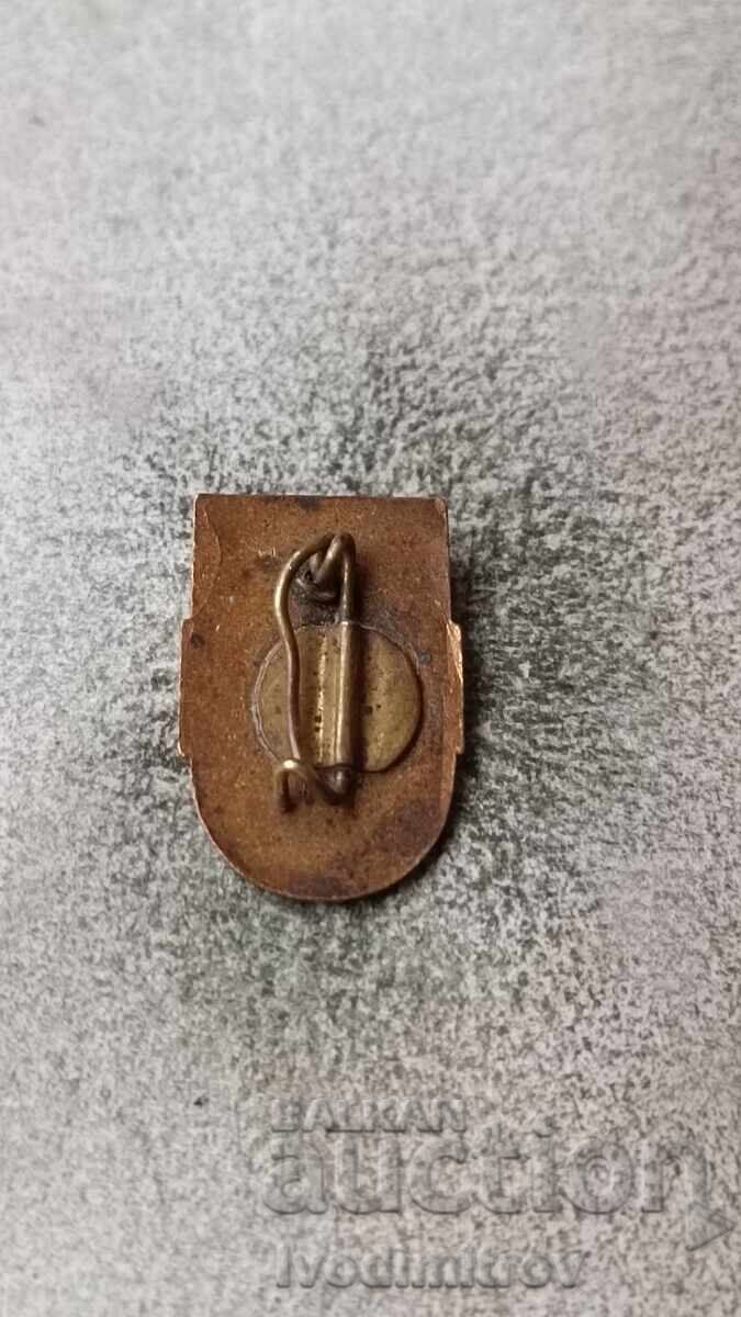 Pioneer Connection Badge 1962 with price 3.85 BGN | € 1.97 Pioneer Connection Badge 1962 with price 3.85 BGN | € 1.97