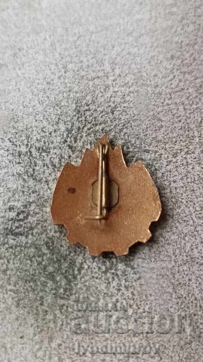 Badge Sint Gata Intudavetada with price 3.85 BGN | € 1.97 Badge Sint Gata Intudavetada with price 3.85 BGN | € 1.97