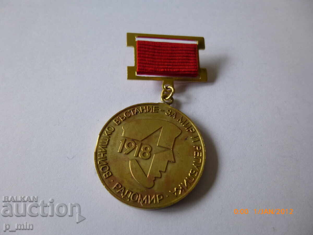 breastplate - Radomir Soldiers' Uprising breastplate - Radomir Soldiers' Uprising