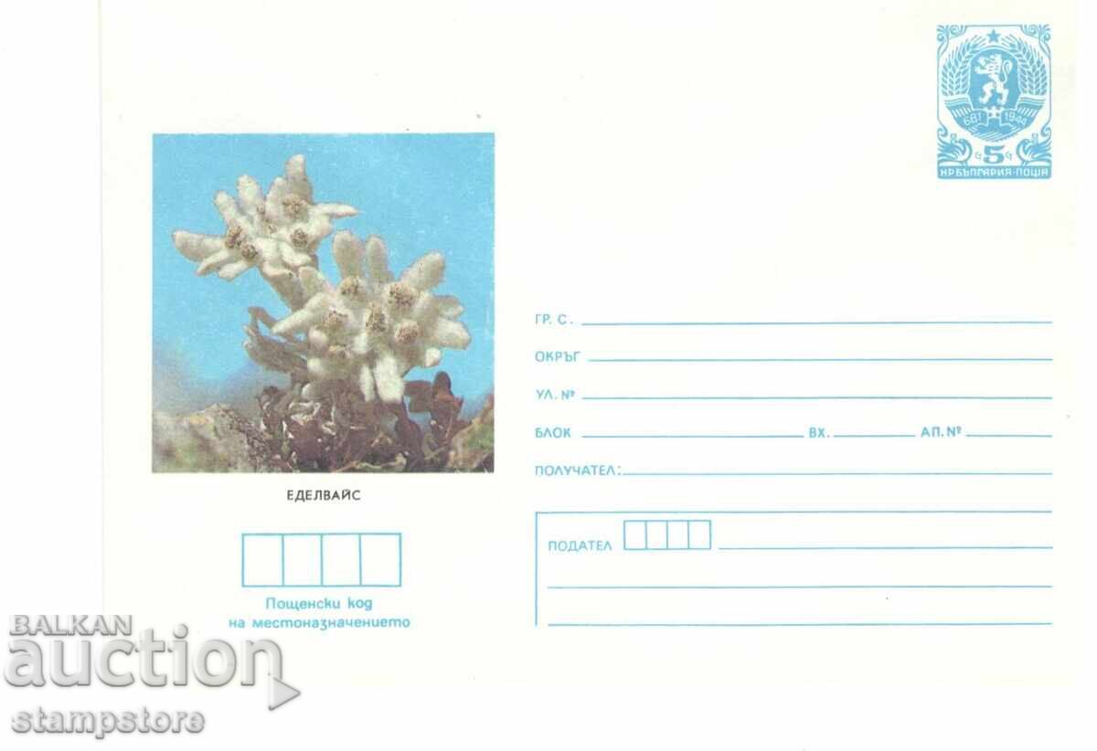 PP Flowers - Edelweiss