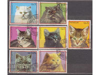 Paraguay - 1982 Cats