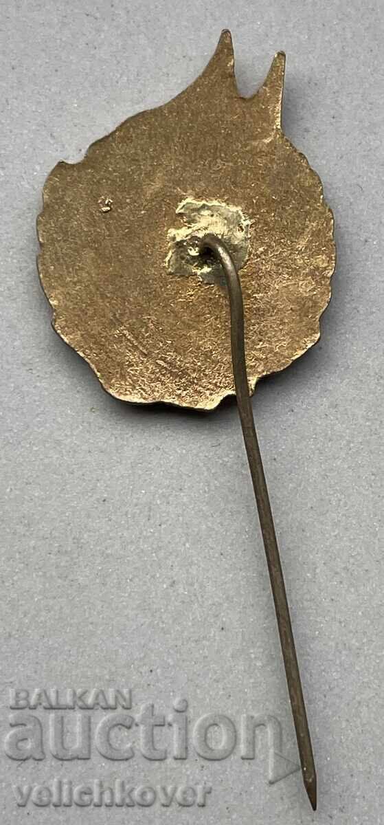 40140 Bulgaria badge Excellent student of the Fatherland Front 50 enamel with price 10.00 BGN | € 5.11 40140 Bulgaria badge Excellent student of the Fatherland Front 50 enamel with price 10.00 BGN | € 5.11