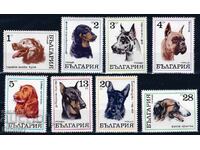 Bulgaria 1970 - dogs MNH