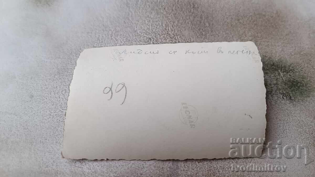 Φωτογραφία Κοριτσάκι με μαγιό με τιμή 2.35 BGN | € 1.20 Φωτογραφία Κοριτσάκι με μαγιό με τιμή 2.35 BGN | € 1.20