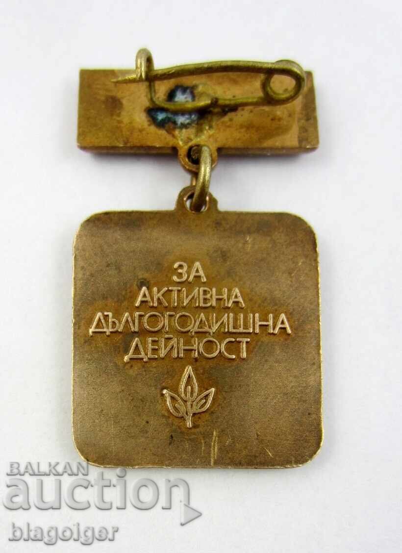 Delivery of Award Badge - DSK - For active long-term activity Delivery of Award Badge - DSK - For active long-term activity