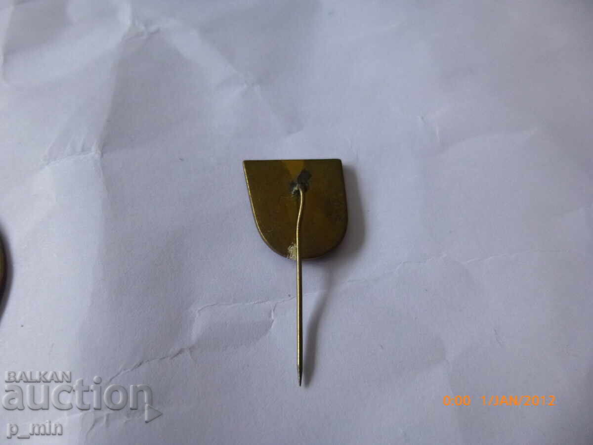 Licitație pieptar - 1300 Bulgaria - Shumen Licitație pieptar - 1300 Bulgaria - Shumen