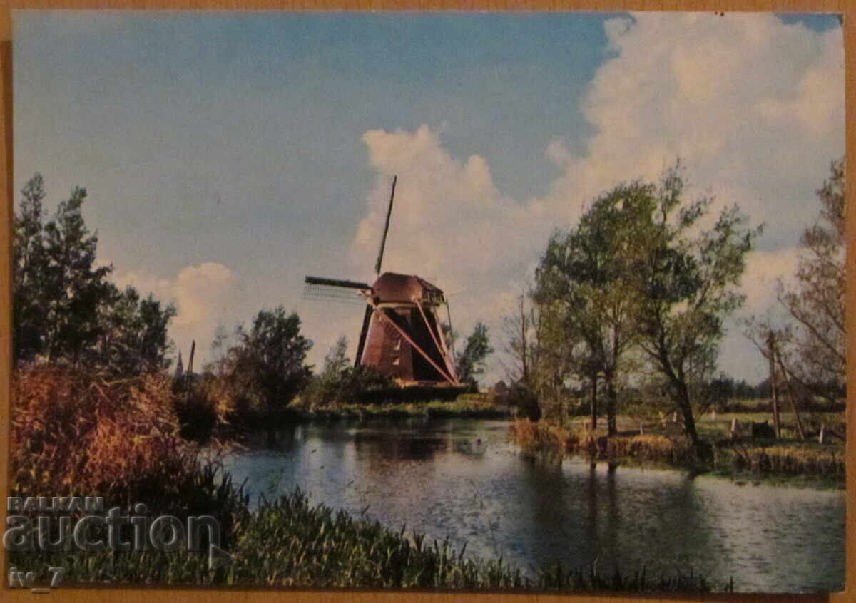 CARD, Olanda CARD, Olanda