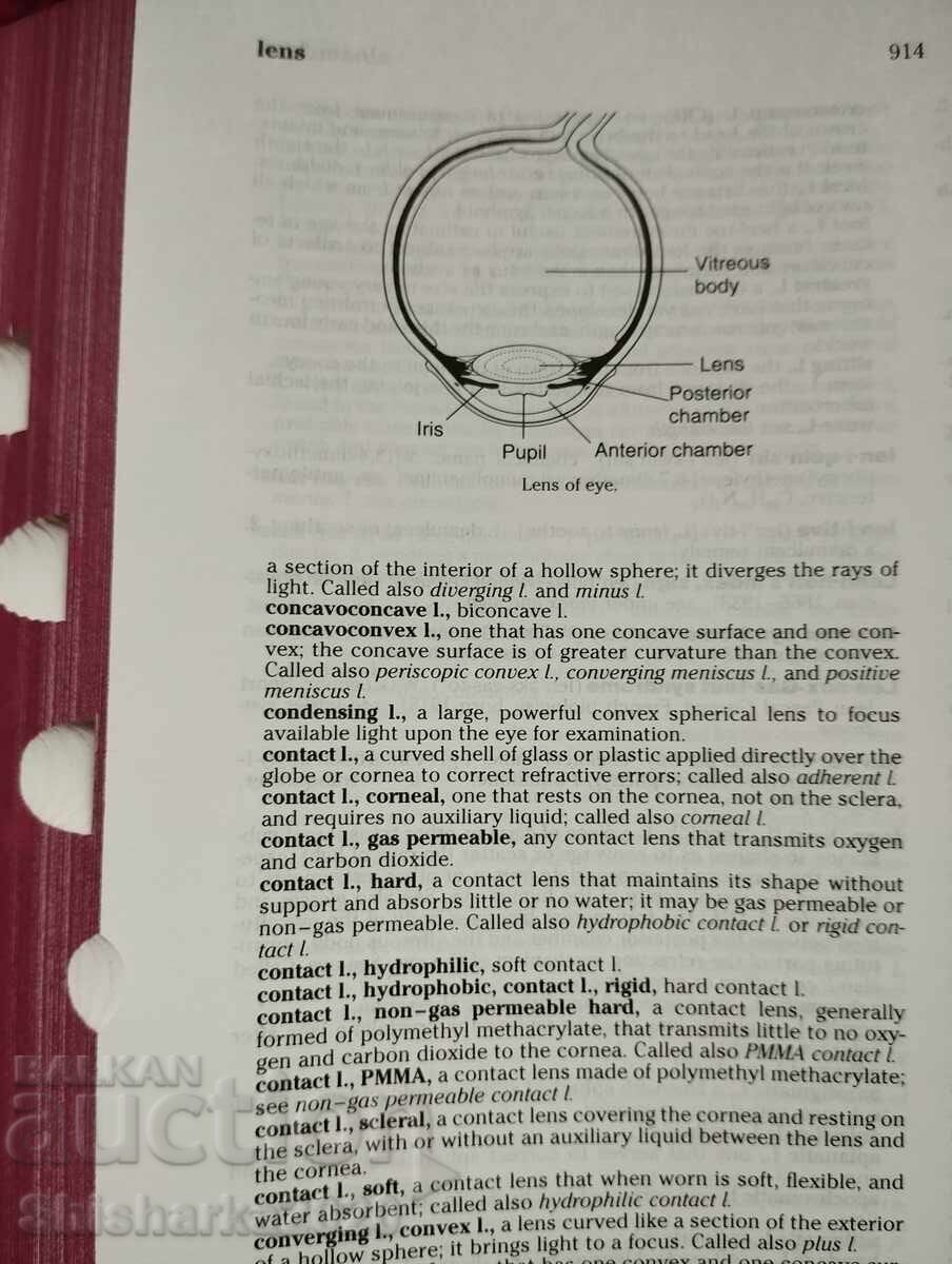 Dorland`s illustrated medical dictionary 28 eddition - 5
