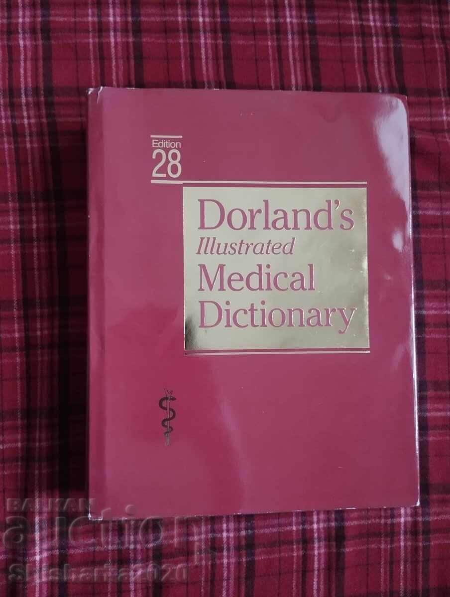 Dorland`s illustrated medical dictionary 28 eddition