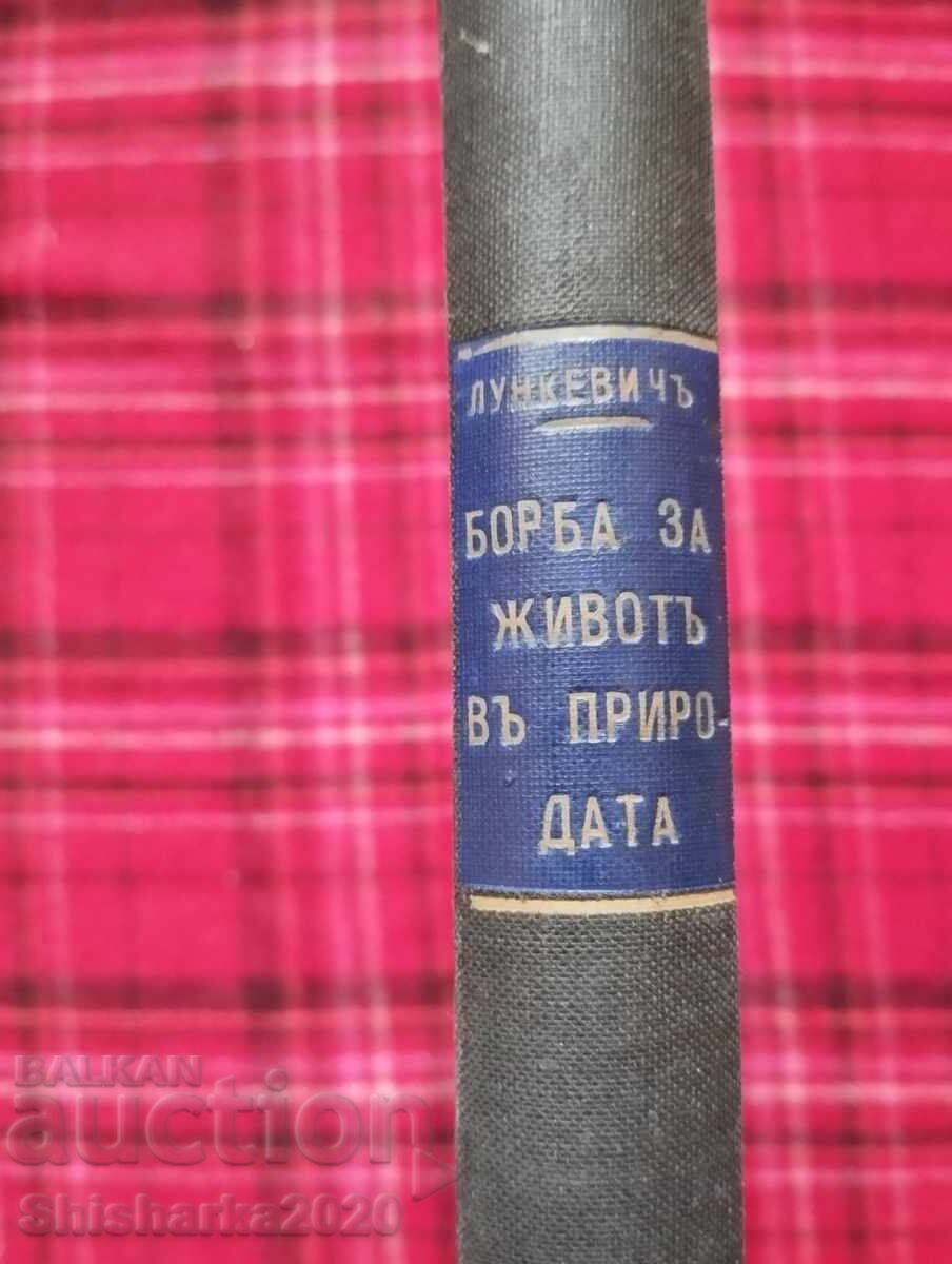 3 в 1 - Борба за животъ в природата с цена 55.00 лв. | € 28.12 3 в 1 - Борба за животъ в природата с цена 55.00 лв. | € 28.12