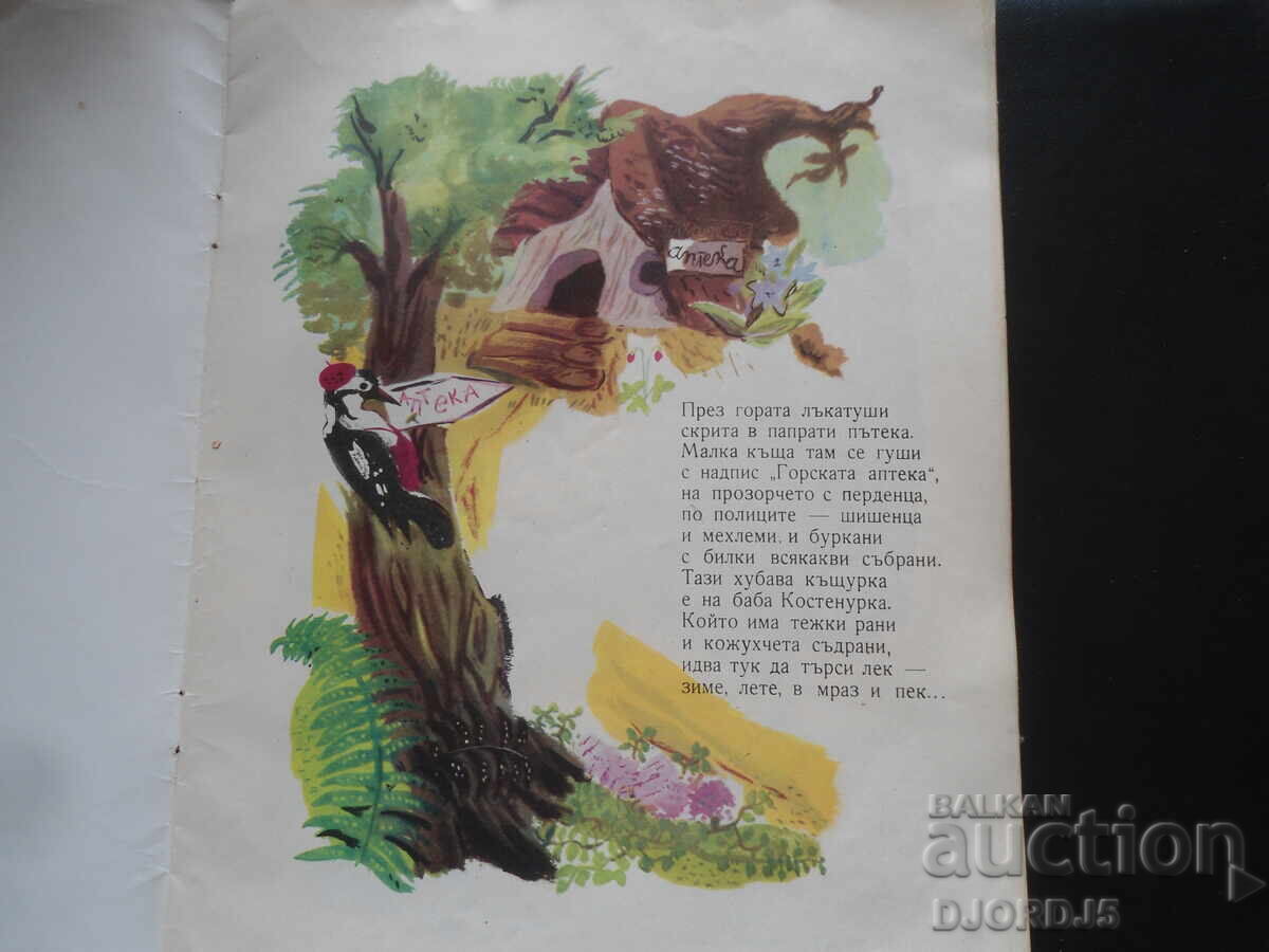 The Little Pharmacy on the Forest Path, Lila Zaharieva with price 5.00 BGN | € 2.56 The Little Pharmacy on the Forest Path, Lila Zaharieva with price 5.00 BGN | € 2.56