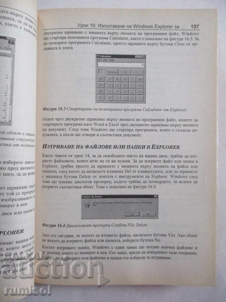 Cunoștințe informatice - Chris Jamsa - 5