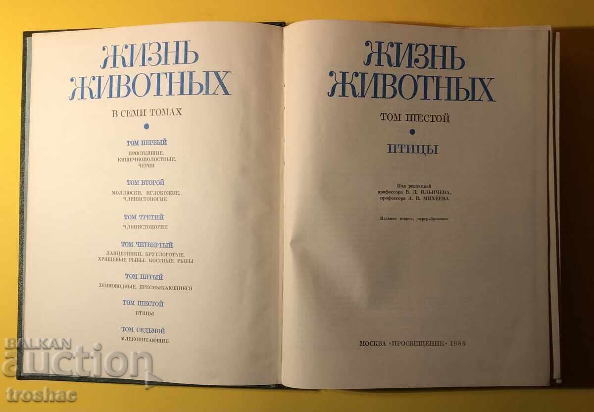 Old Book from the Animal/Bird Life Series Volume 6 - 5 Old Book from the Animal/Bird Life Series Volume 6 - 5