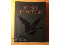 Carte veche din seria Animal/Bird Life Volumul 6