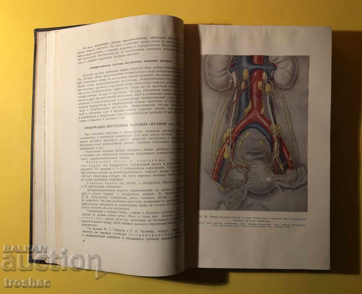 Auction Old Book Gynecology 1957 Auction Old Book Gynecology 1957